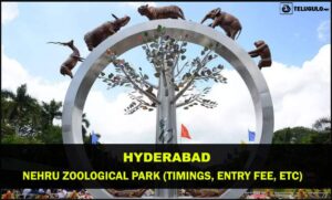Nehru Zoo Park Hyd